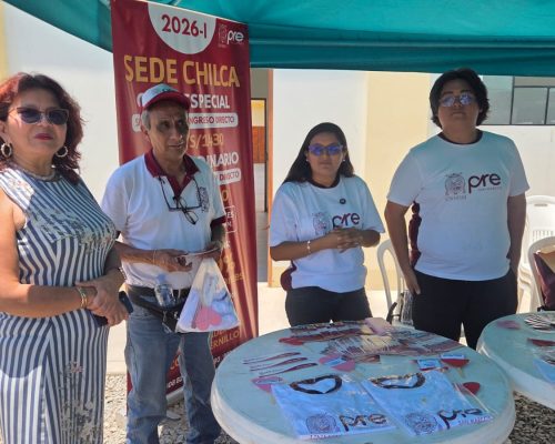 Chilca4